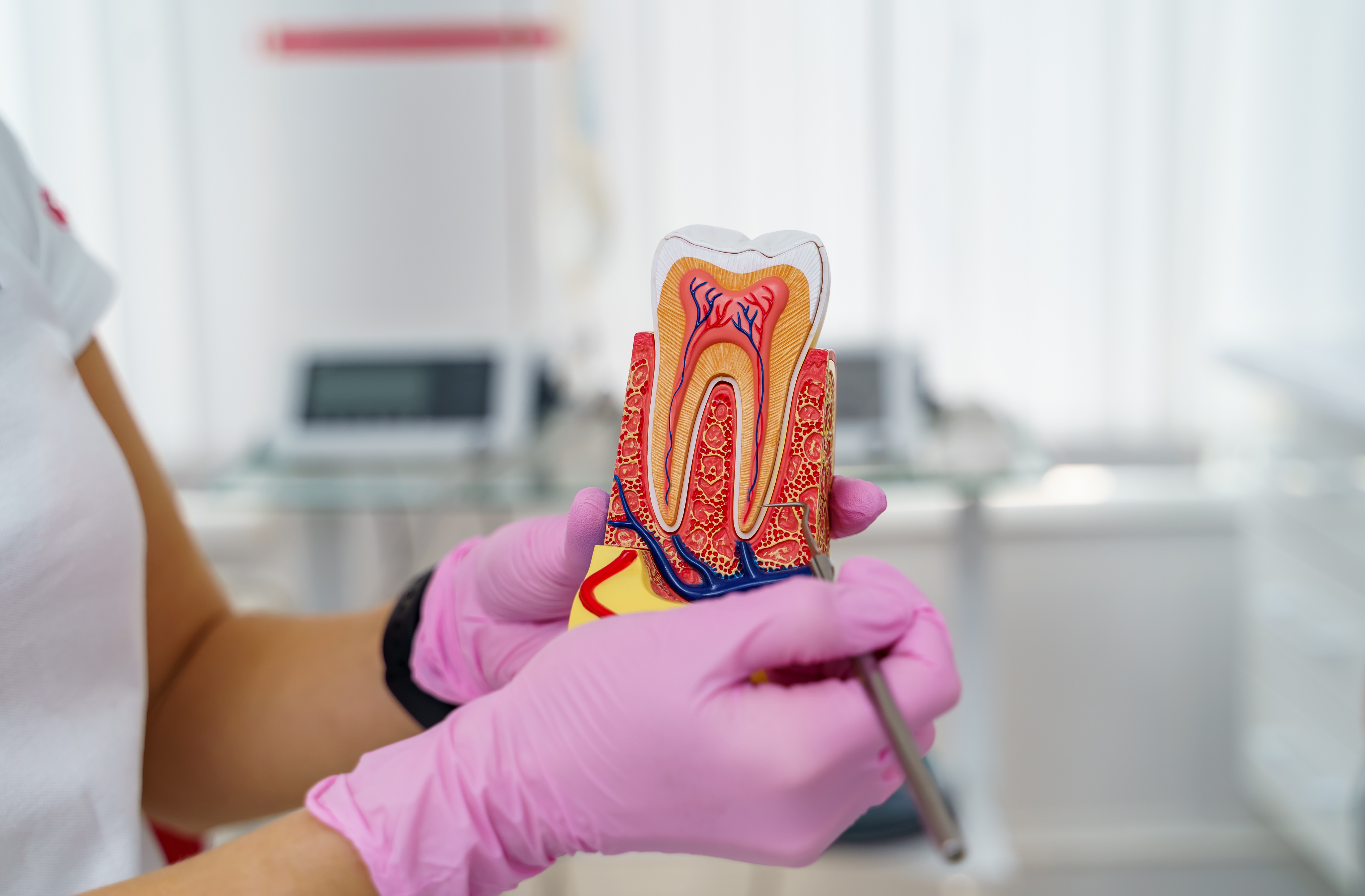 When Root Canal Surgery May Be Recommended To Save Your Tooth